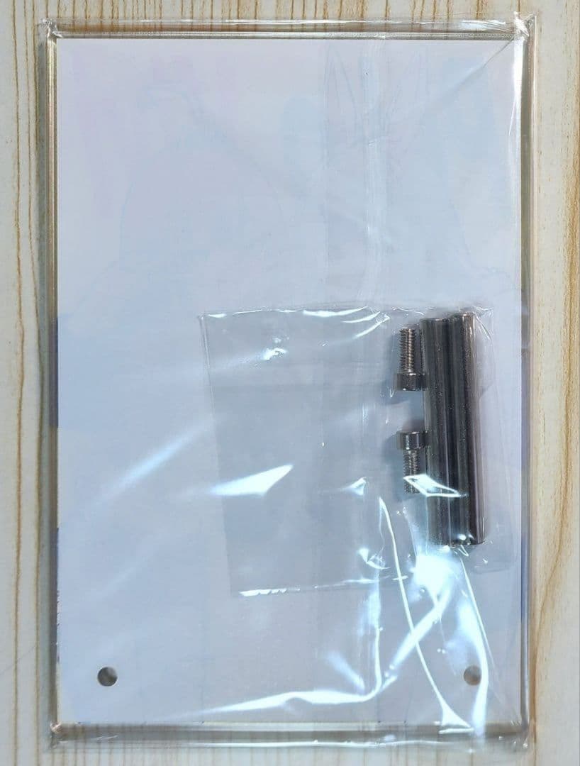 Hololive 綺々羅々ヴィヴィ 兎田ぺこら アクリルパネル ぺこヴィ