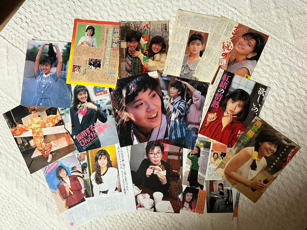 南野陽子グッズセット