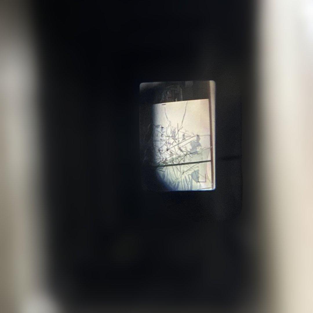 OLYMPUS μ[mju:]-II オリンパス ミューII フィルムカメラ