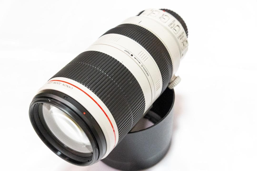 Canon EF100-400mm f/4.5-5.6L IS Ⅱ USM