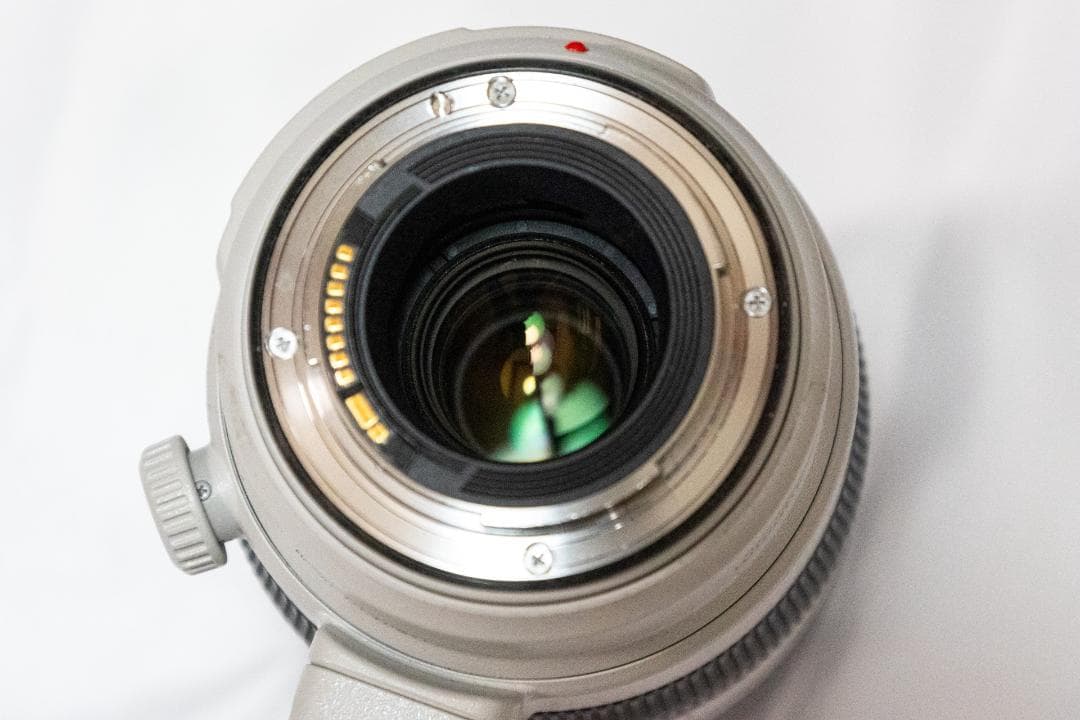 Canon EF100-400mm f/4.5-5.6L IS Ⅱ USM