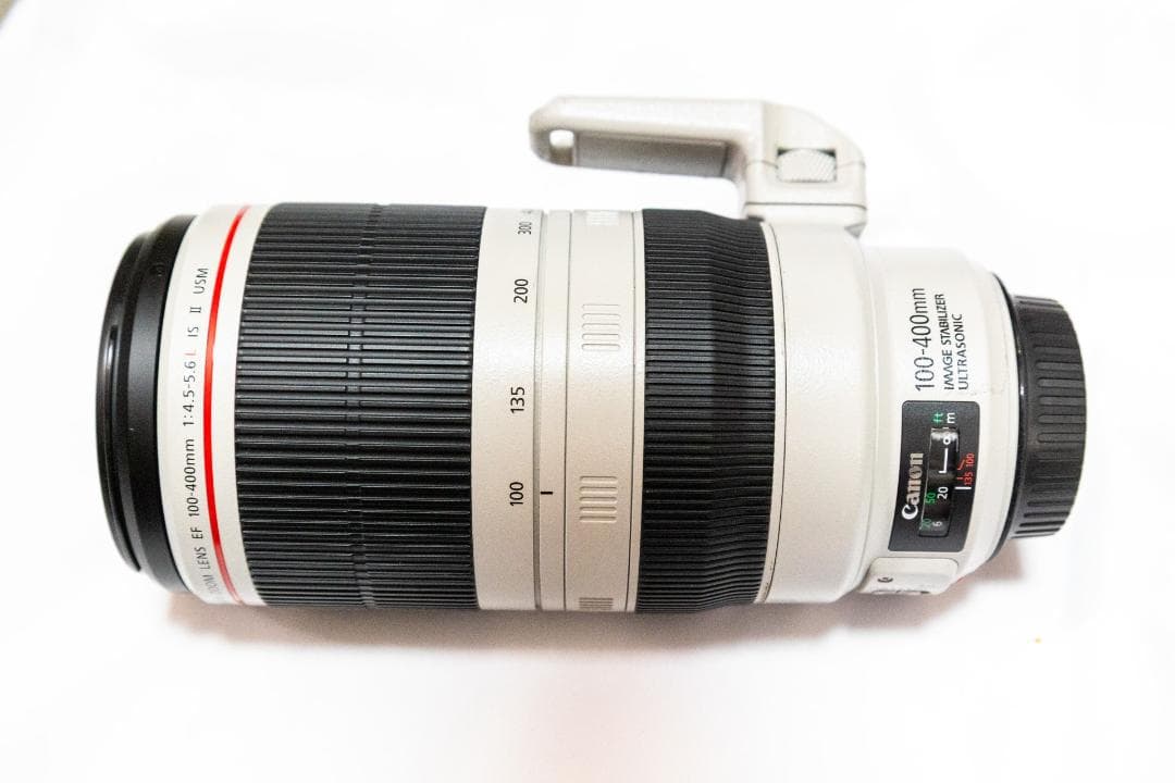 Canon EF100-400mm f/4.5-5.6L IS Ⅱ USM