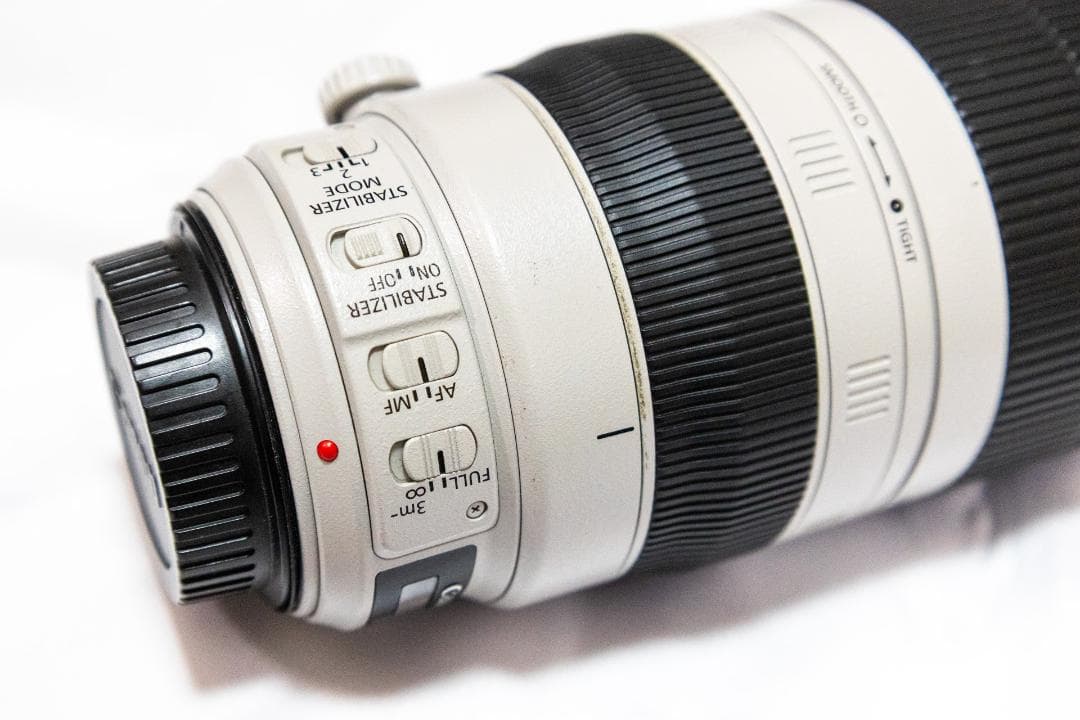 Canon EF100-400mm f/4.5-5.6L IS Ⅱ USM