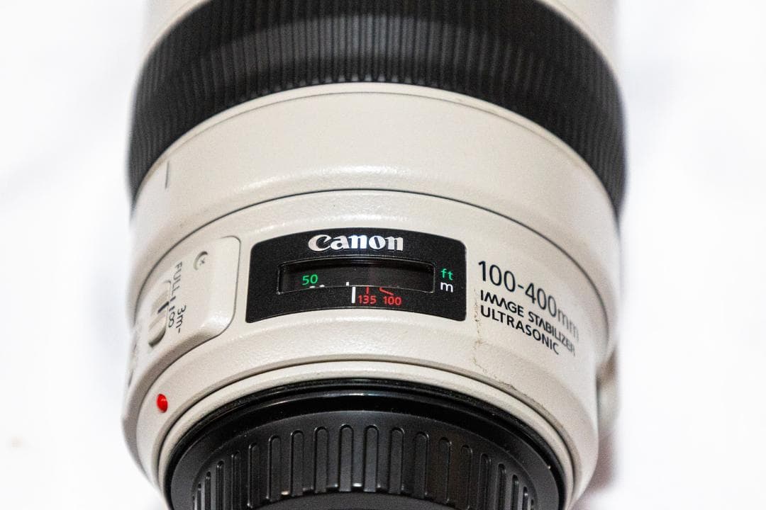 Canon EF100-400mm f/4.5-5.6L IS Ⅱ USM