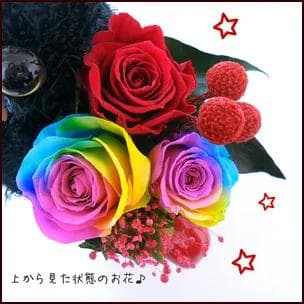 【高級プリザーブドフラワー】レインボーローズ クロネコ&ハートフラワーアレンジ