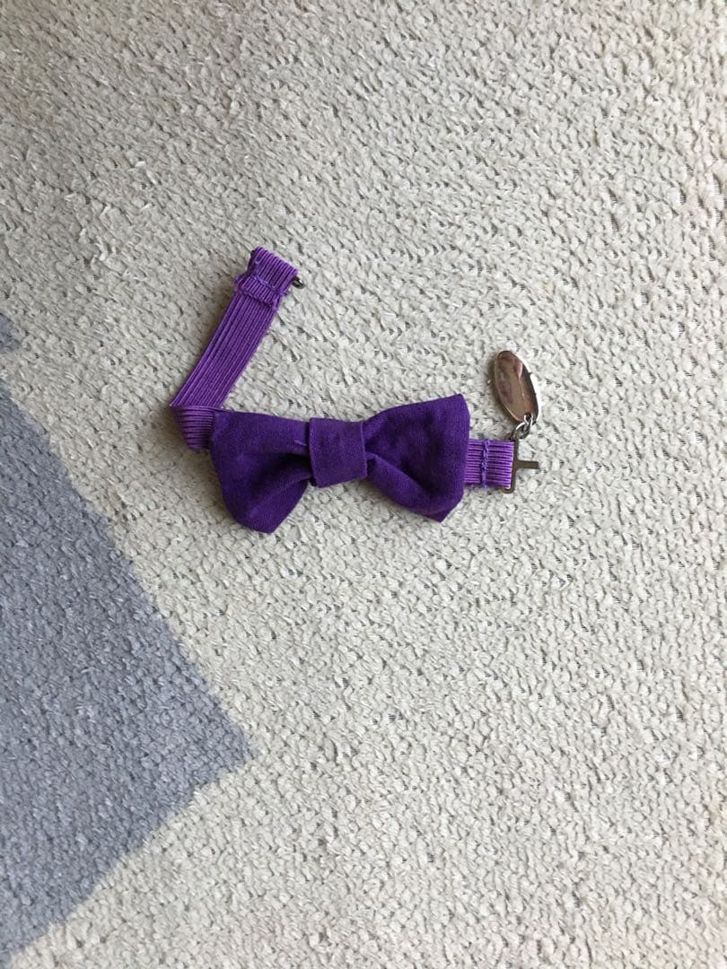 【骨あり】アイリス プリキャ アニバーサリー トキヤ うたプリ プリンスキャット