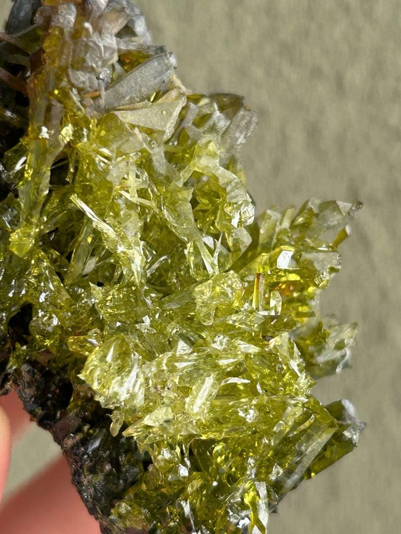 大幅値下げ 希少色 希少鉱物 ジンカイト 黄緑色結晶 天然石