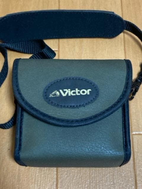 付属品充実　ビクター　ミニDV　ビデオカメラ　GR-DVF1　ムービー