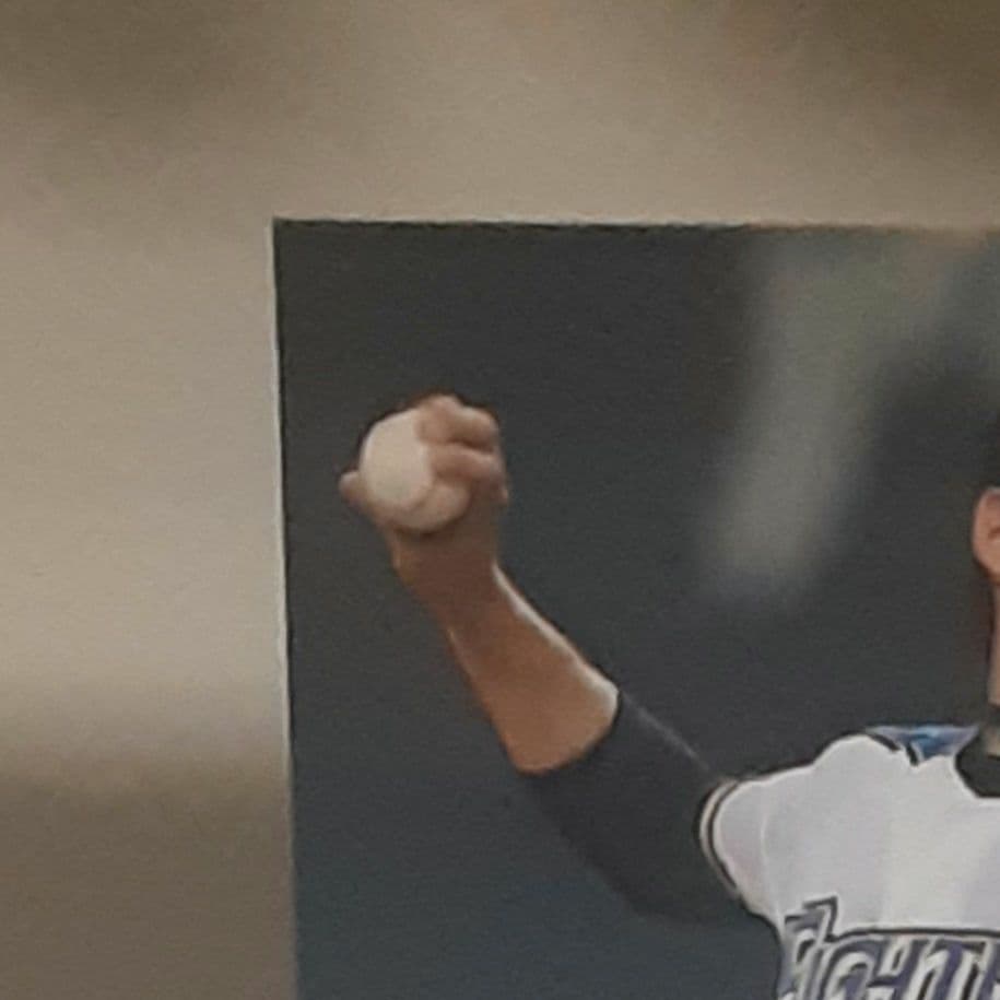 【極美品】大谷翔平　2013　BBM限定　ルーキーカード　10周年記念