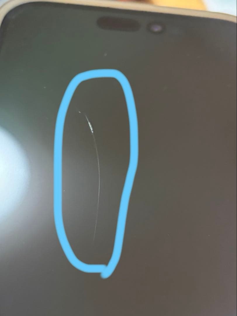 Apple iPhone15 plus 256g ブルー　値下げ不可