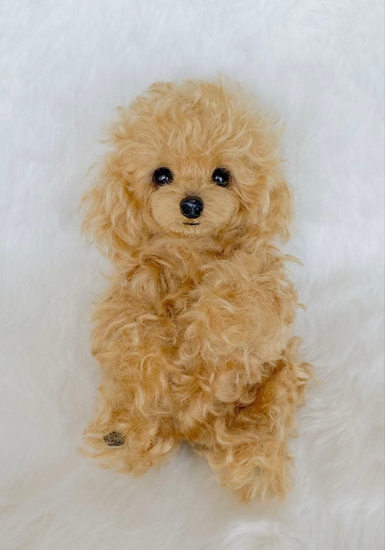 【専用出品ですm(_ _)m】