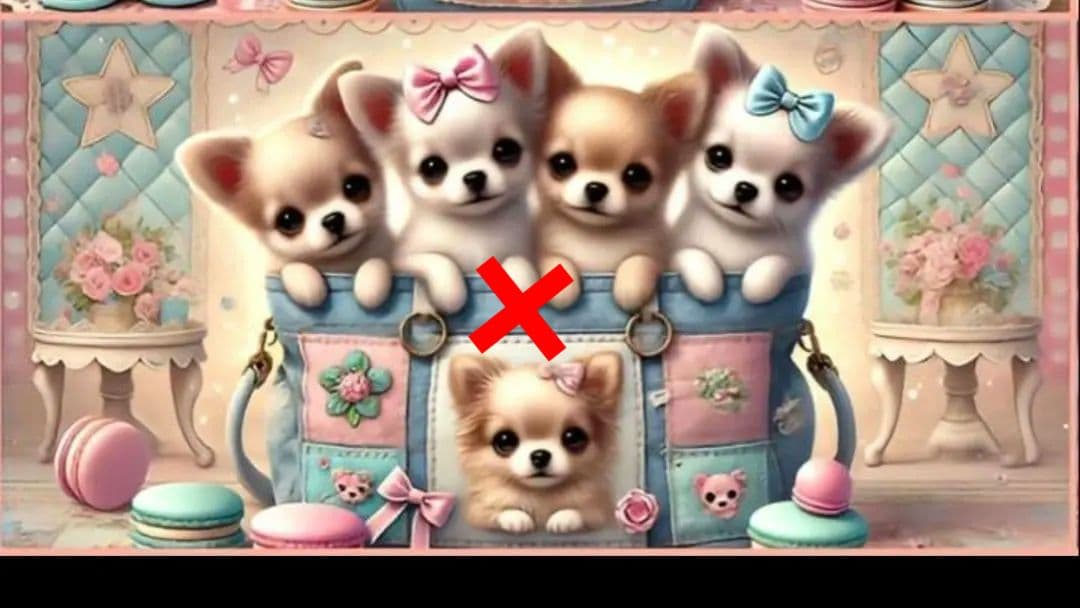 バッグに入るポメラニアン、柴犬、シーズ、チワワ、ダックスパネル生地