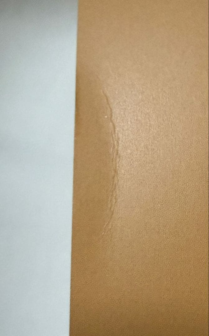 straykids FAN CLUB STAY STAY3期 入会