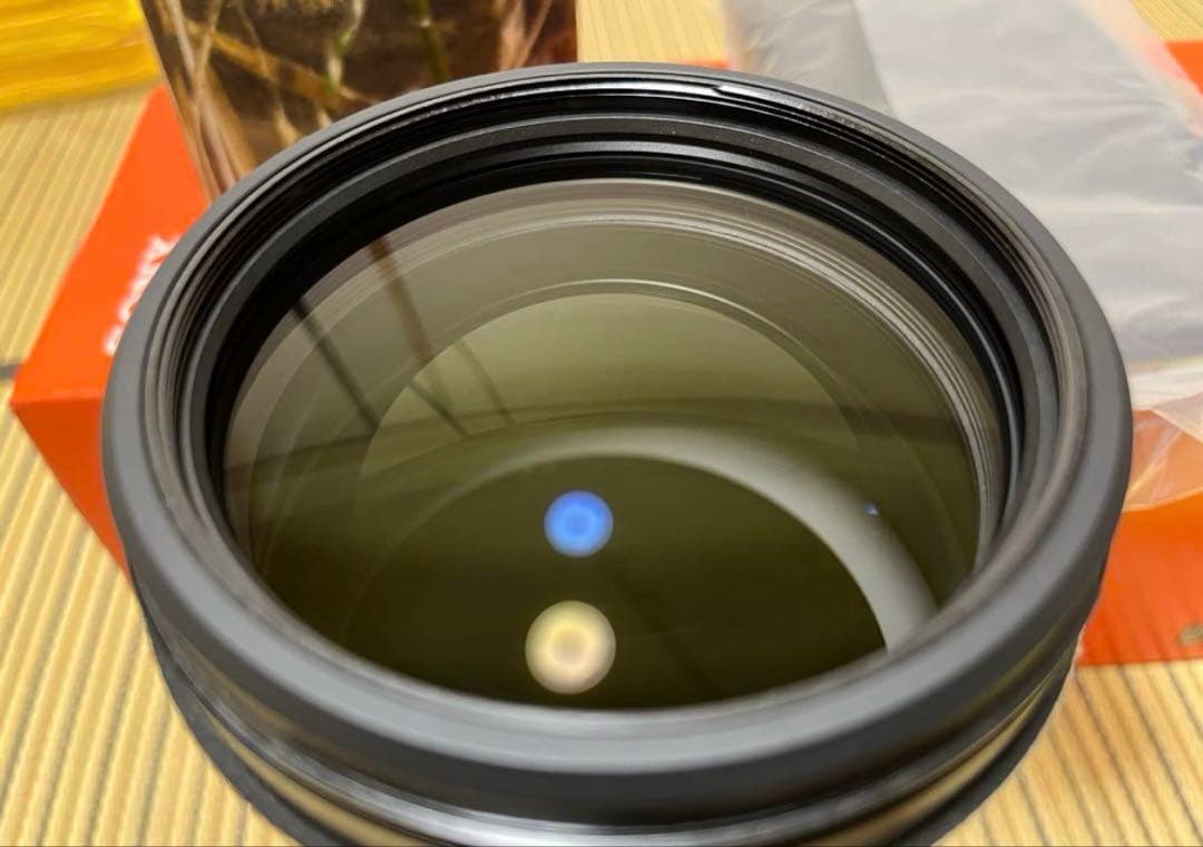 レンズ(ズーム) SONY FE 200-600mm F5.6-6.3G OSS