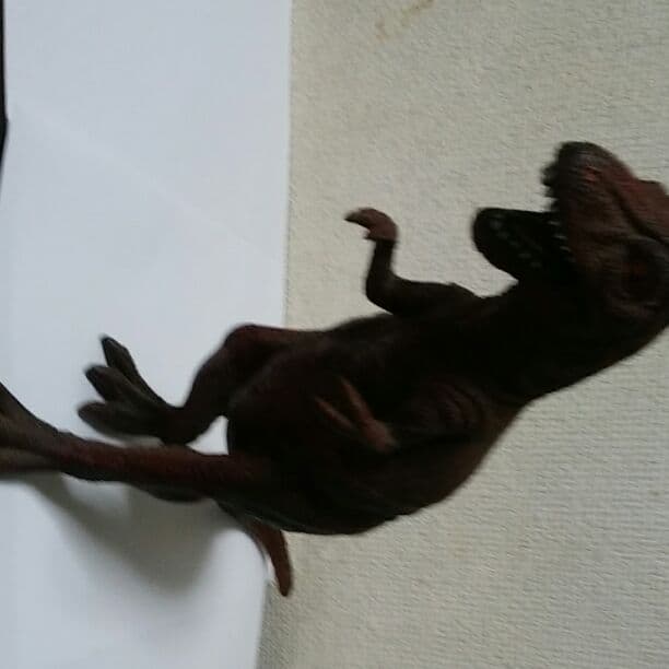 迫力ある、ティラノサウルス