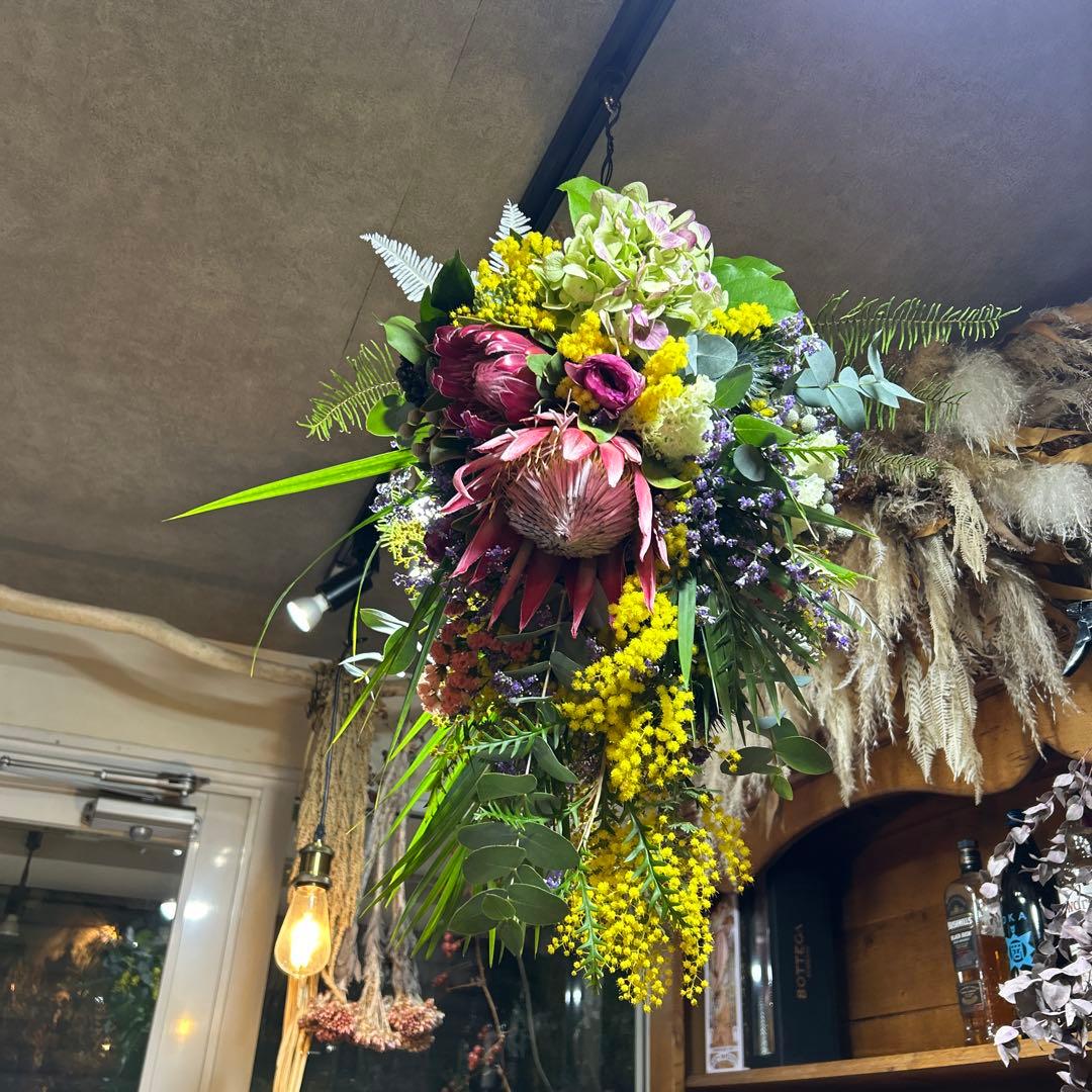 キングプロテアとミモザの吊り下げスワッグ