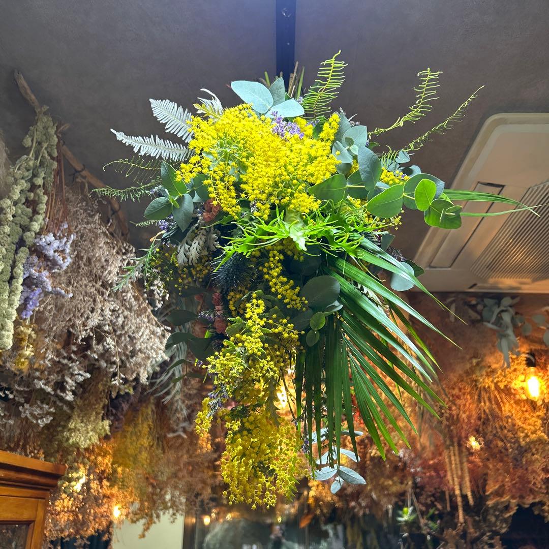 キングプロテアとミモザの吊り下げスワッグ