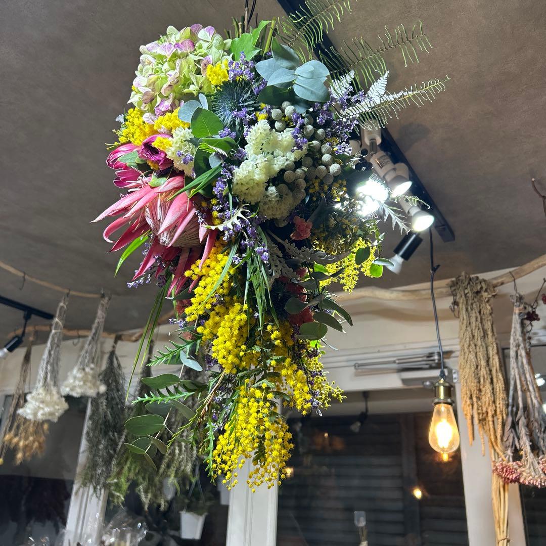 キングプロテアとミモザの吊り下げスワッグ