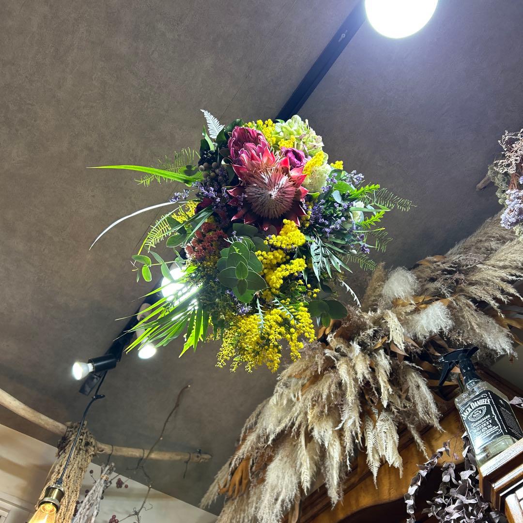 キングプロテアとミモザの吊り下げスワッグ