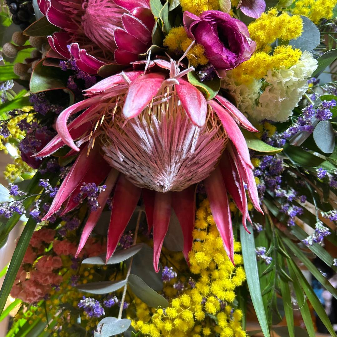 キングプロテアとミモザの吊り下げスワッグ