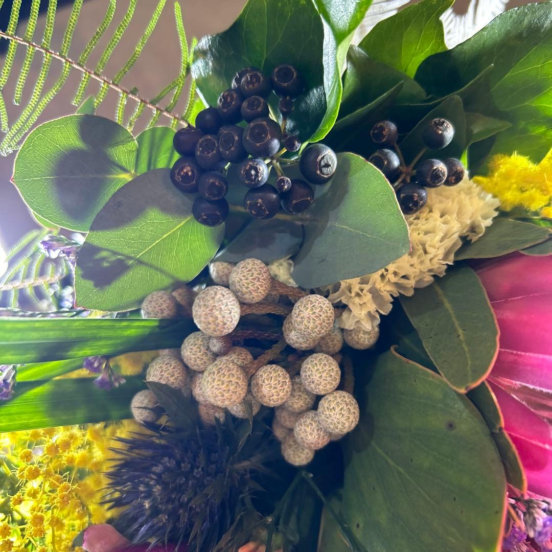 キングプロテアとミモザの吊り下げスワッグ