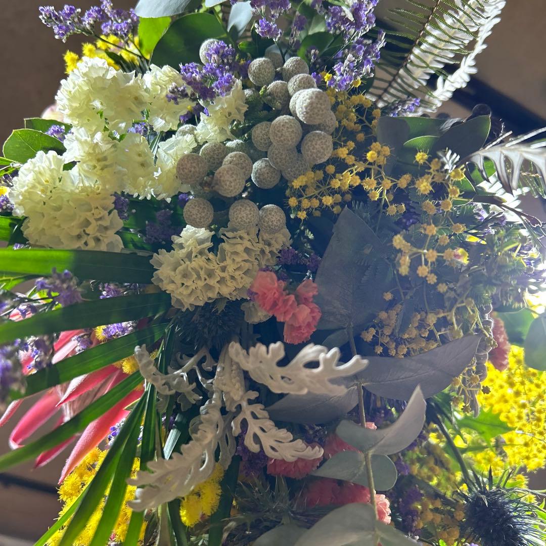 キングプロテアとミモザの吊り下げスワッグ