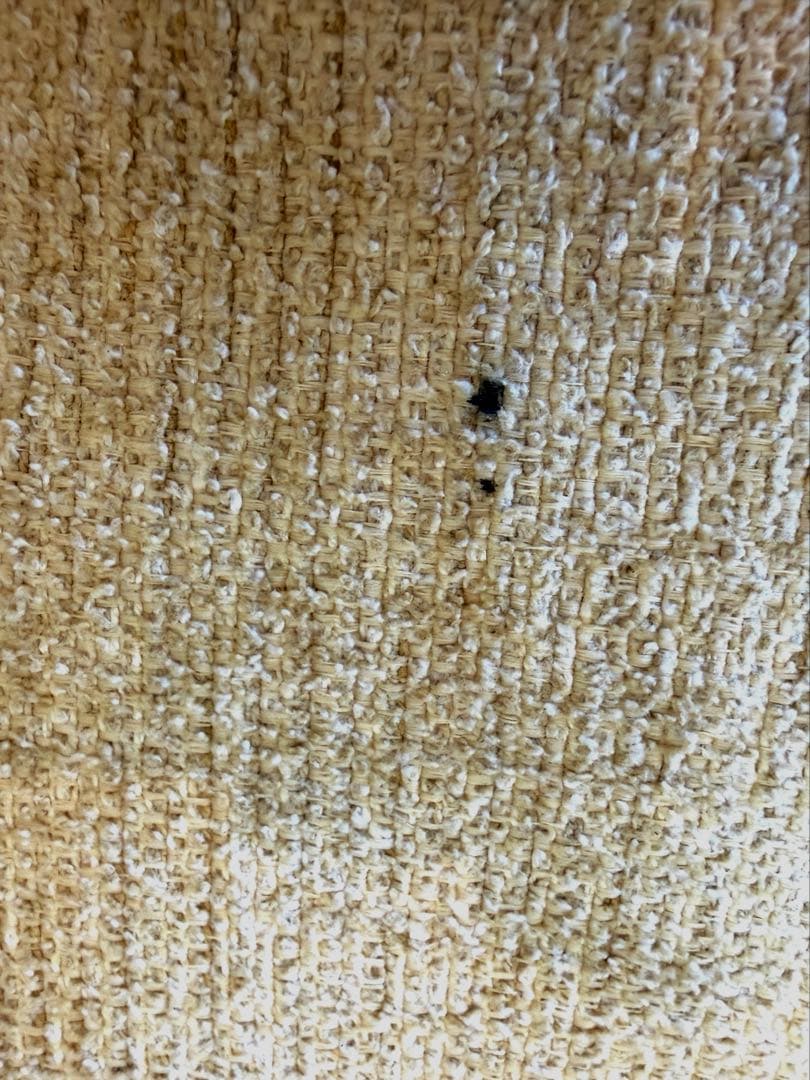 ACME JETTY FEATHER 2.5-3人掛 定価28万