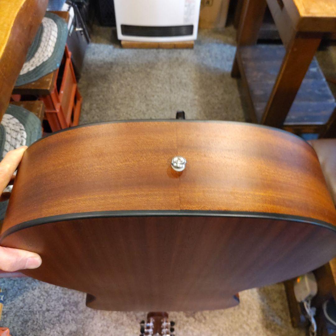 Gopher Wood Guitars i110x (管理ヤオ)