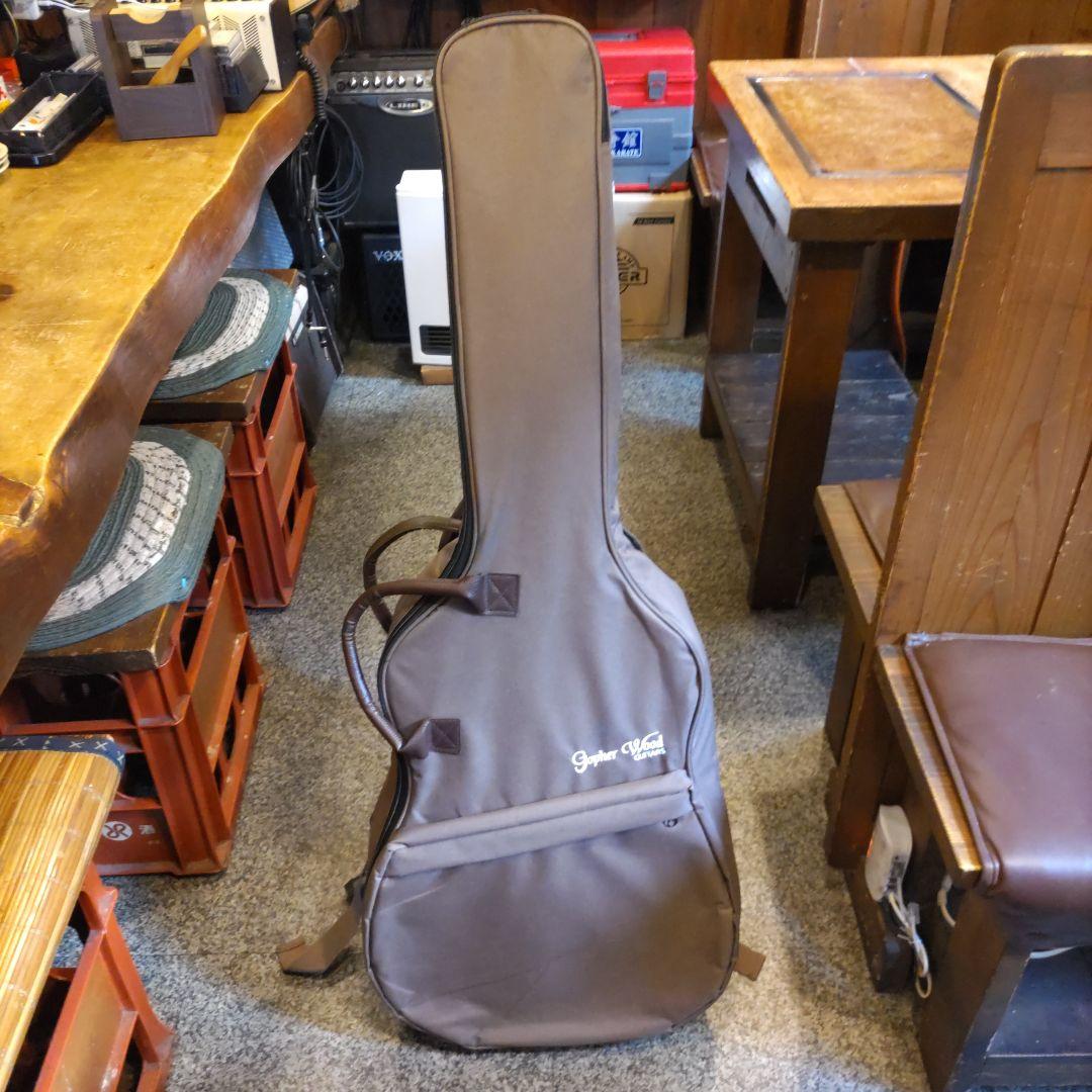 Gopher Wood Guitars i110x (管理ヤオ)