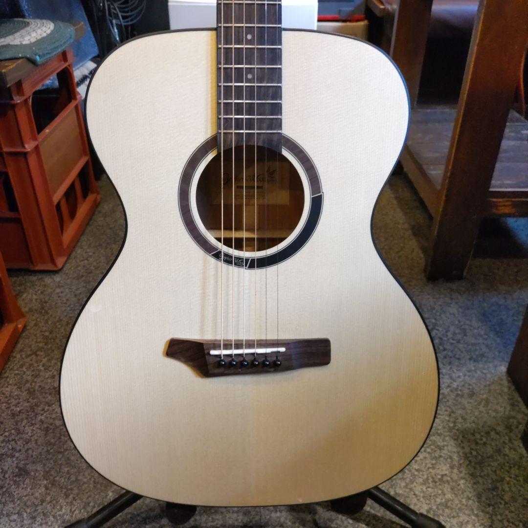 Gopher Wood Guitars i110x (管理ヤオ)