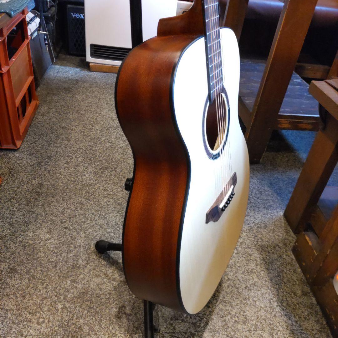 Gopher Wood Guitars i110x (管理ヤオ)