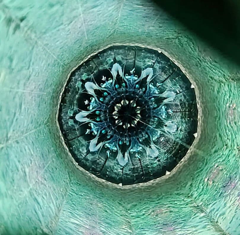 万華鏡★佐々木茉友★氷雨★オイル★作家 カレイドスコープ