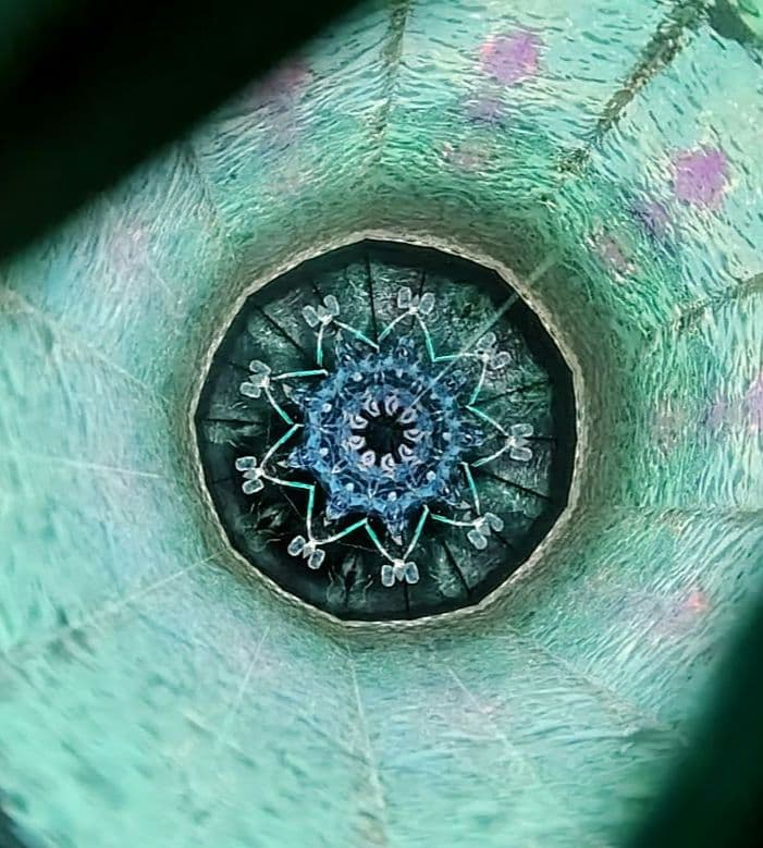 万華鏡★佐々木茉友★氷雨★オイル★作家 カレイドスコープ