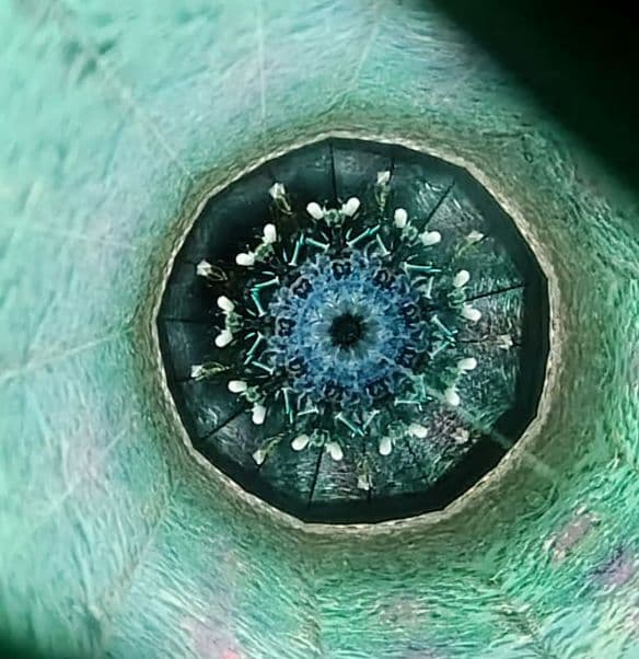 万華鏡★佐々木茉友★氷雨★オイル★作家 カレイドスコープ