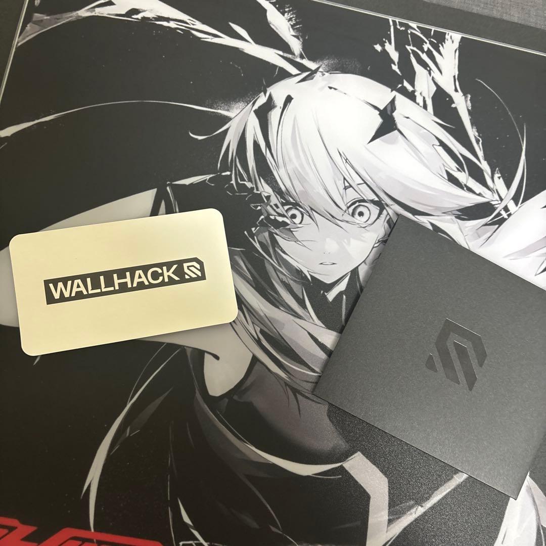 Wallhack FRENZY SORA（限定版）