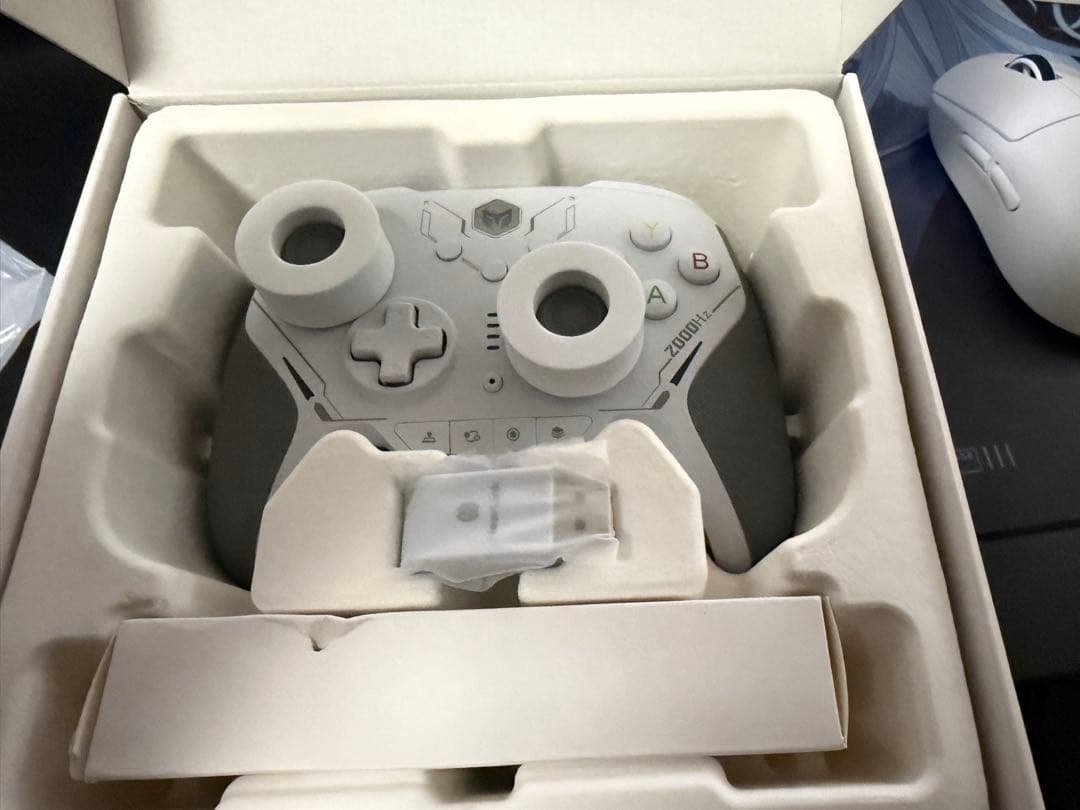 【美品】BIGBIG WON BLITZ2 TMR コントローラー