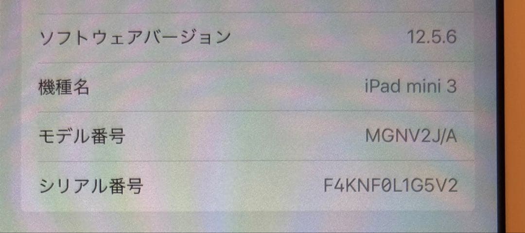 Apple iPad mini 3本体 カバー/ケース付き