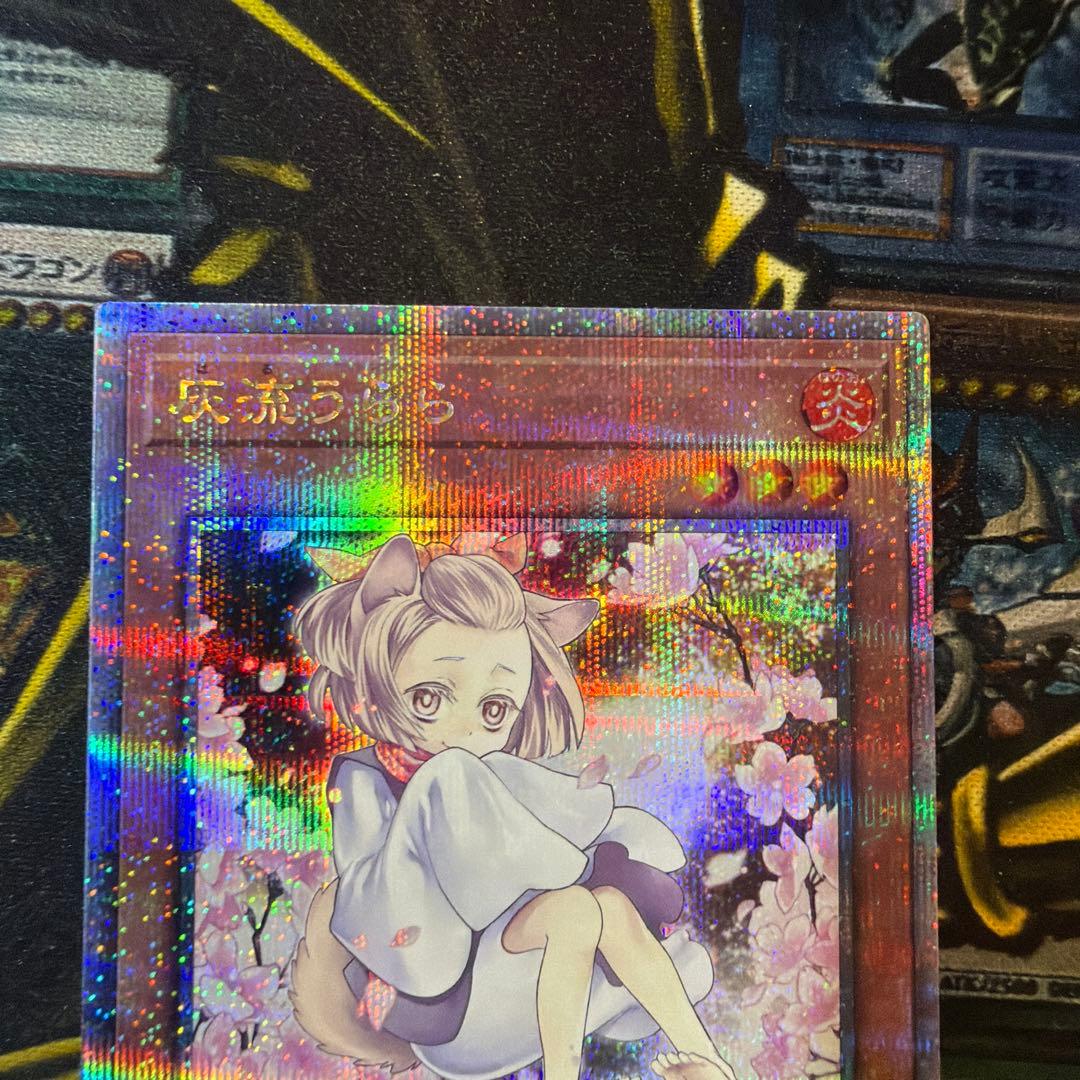 遊戯王OCG 灰流うらら