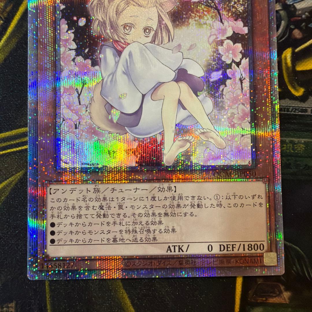 遊戯王OCG 灰流うらら