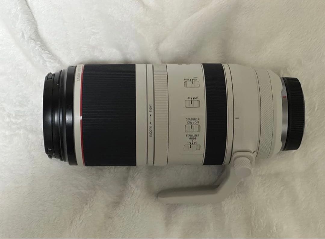 canon RF100-500 mm F4.5-7.1 L IS USMレンズ