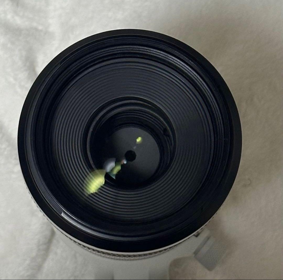 canon RF100-500 mm F4.5-7.1 L IS USMレンズ