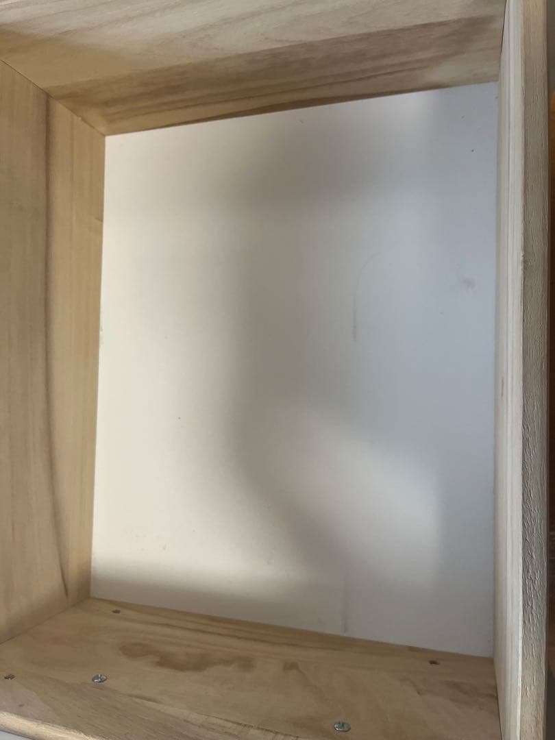 ‼️本日限定価格‼️