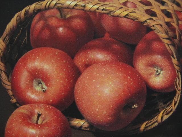 余村展、【りんご】、希少な画集画、新品高級額 額装付、状態良好