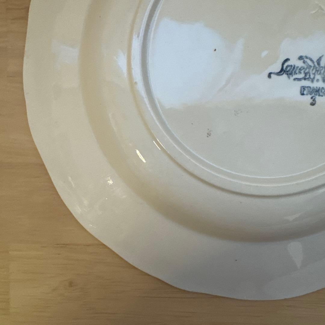 サルグミンヌ花リムスーププレート