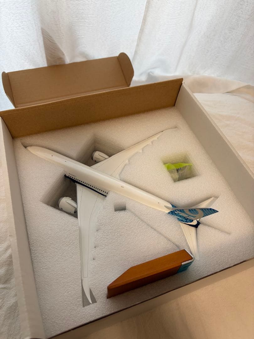 Boeing 787-9 1/200スケールモデル