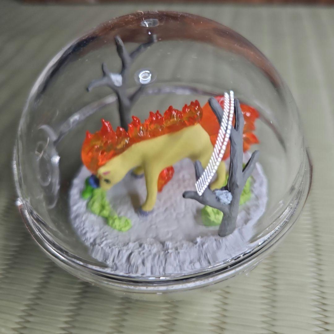 ポケモンテラリウムコレクション　まとめ売り