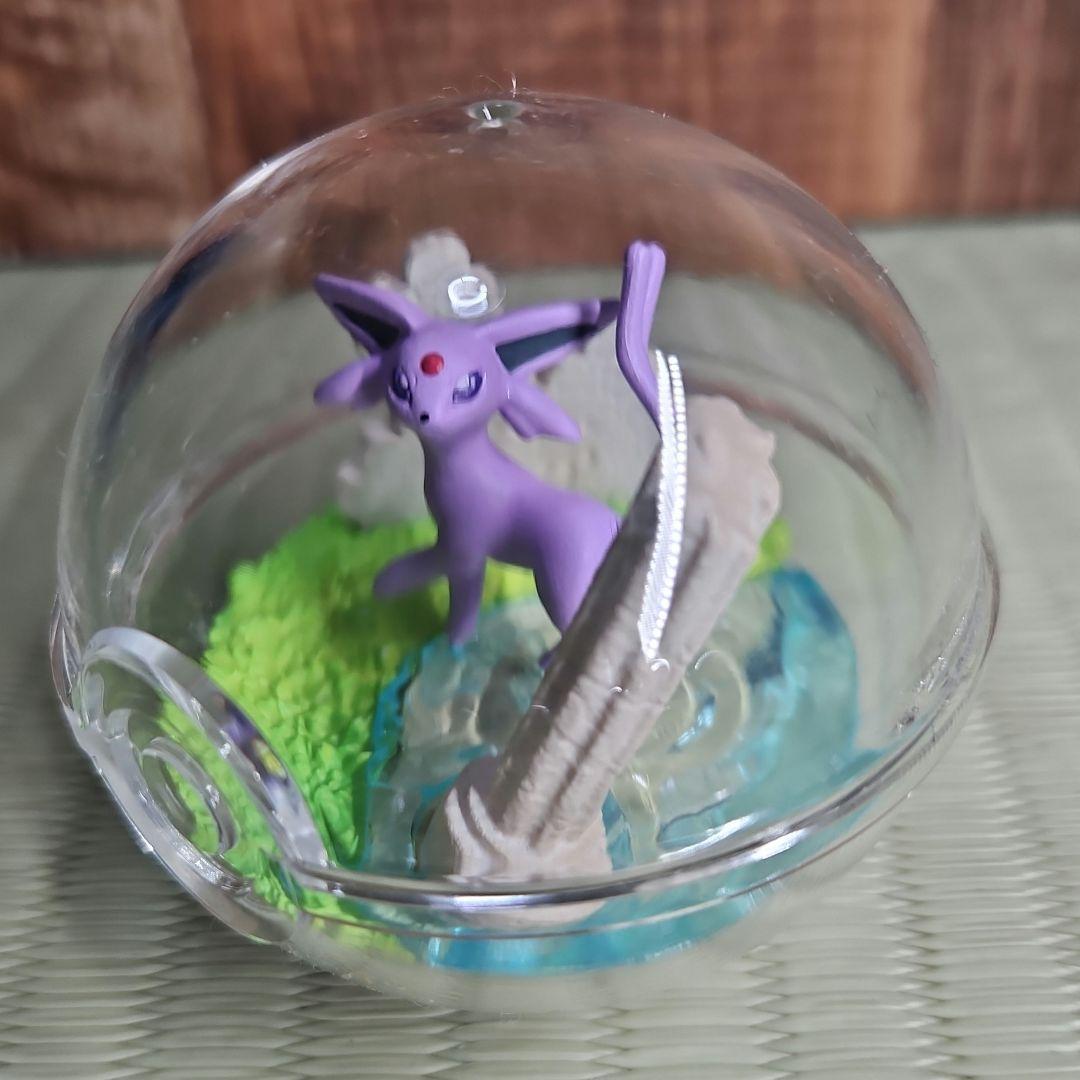 ポケモンテラリウムコレクション　まとめ売り