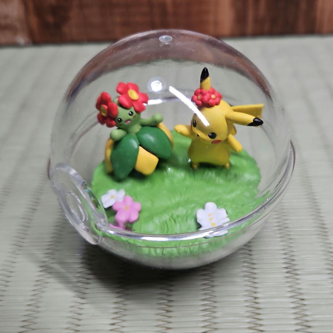 ポケモンテラリウムコレクション　まとめ売り