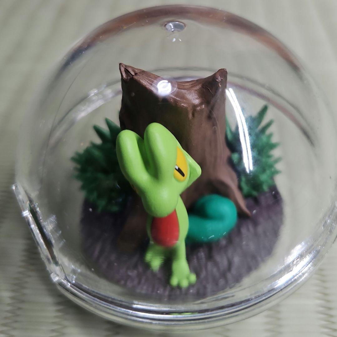 ポケモンテラリウムコレクション　まとめ売り