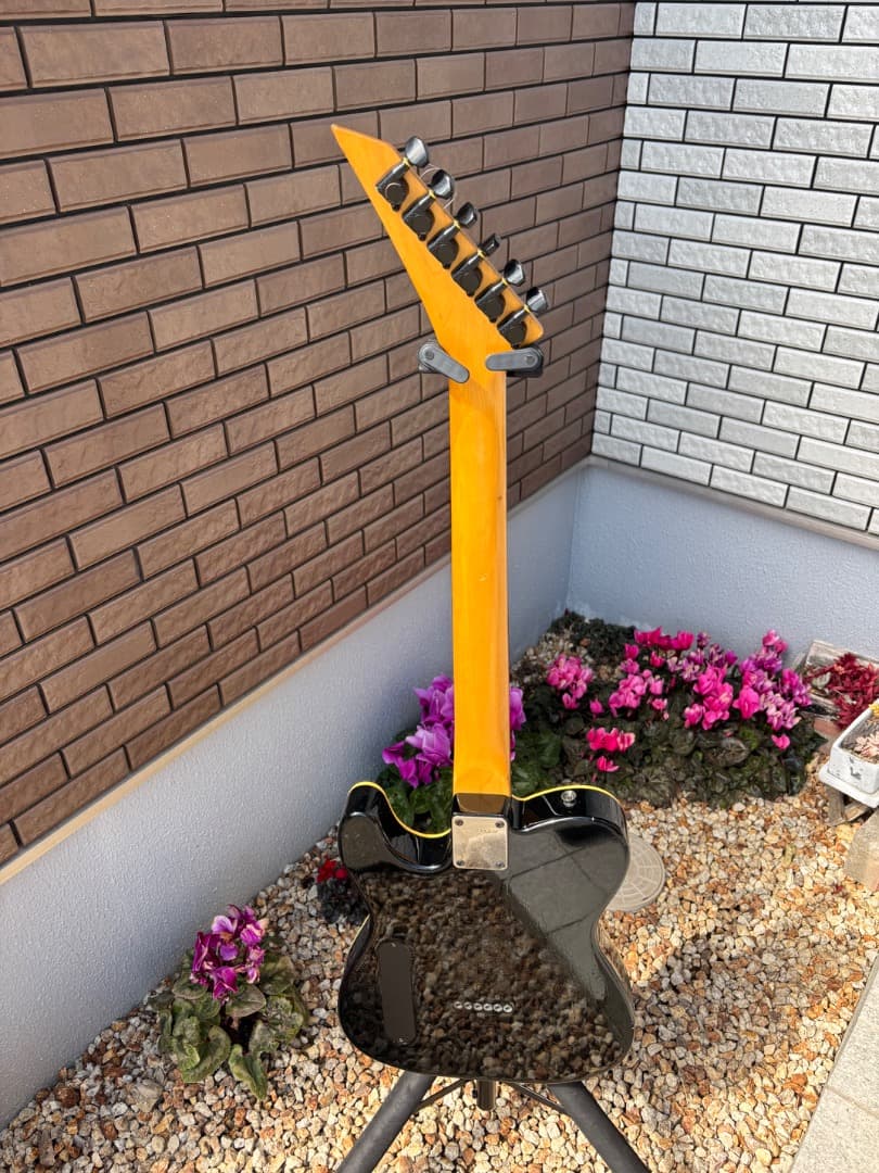 FERNANDES 布袋モデル